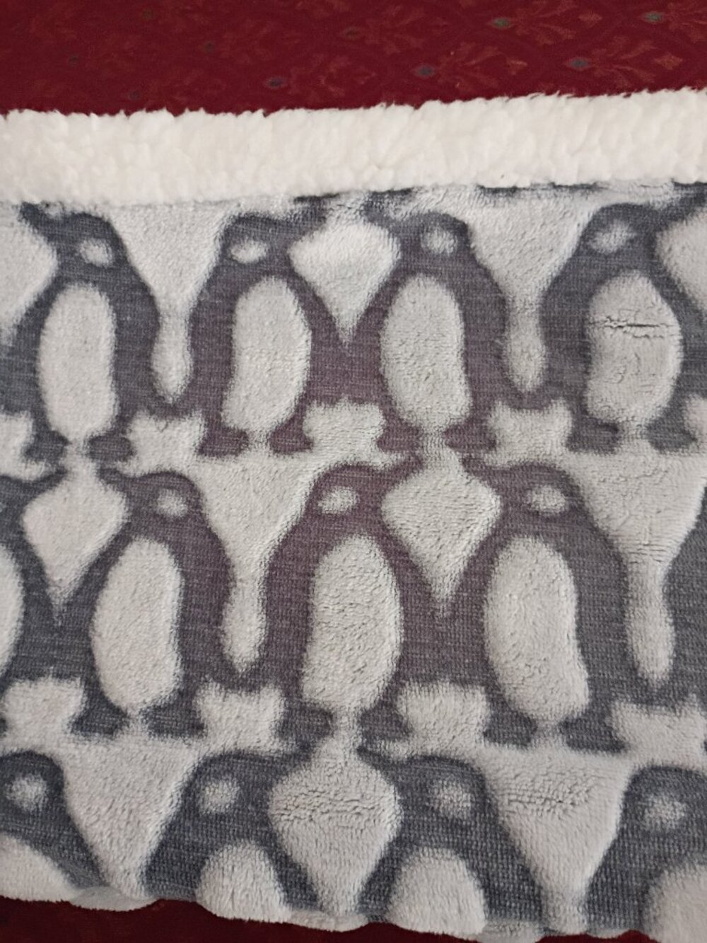 Vera Bradley Scarf NWT